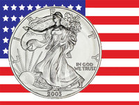 USA Silver Eagle