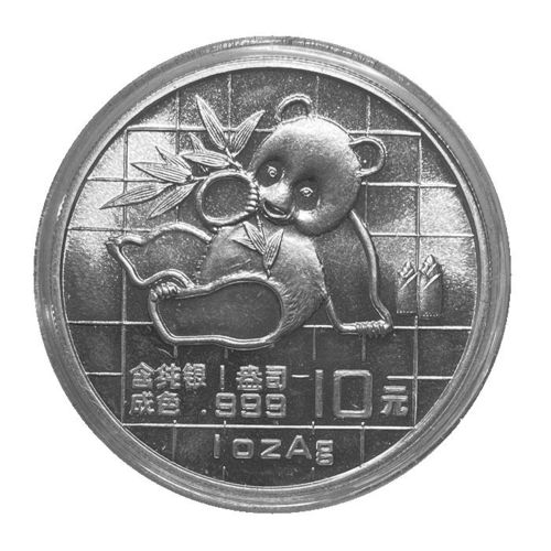 China 10 Yuan 1 Unze Silber Panda 1989 ST