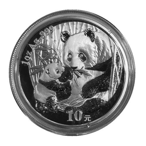 China 10 Yuan 1 Unze Silber Panda 2005 ST
