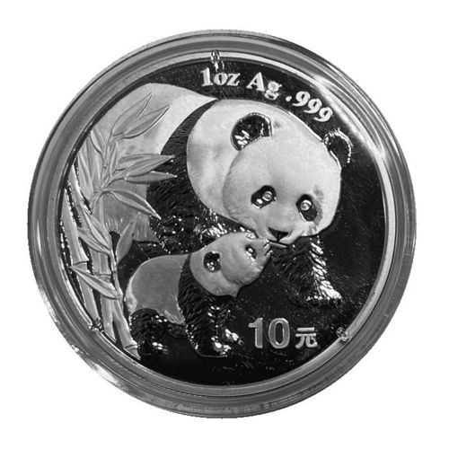 China 10 Yuan 1 Unze Silber Panda 2004 ST